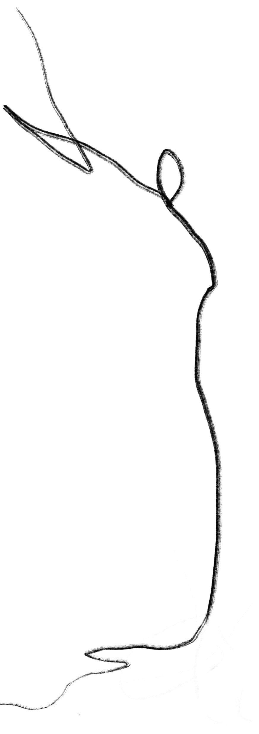 ris 2