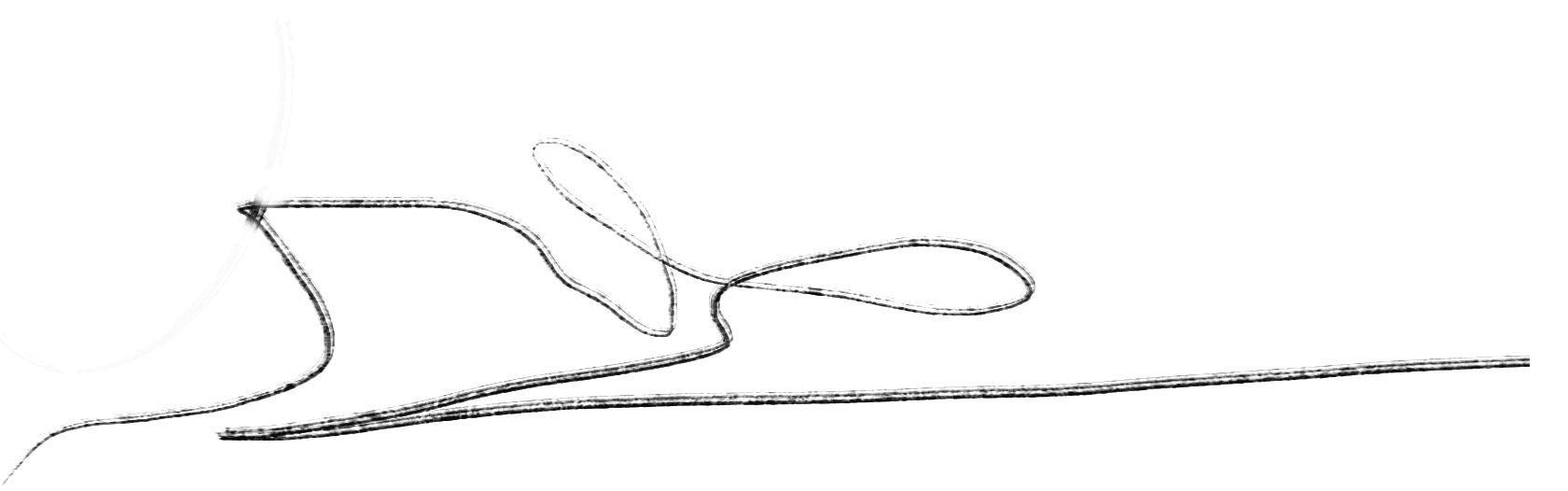 ris